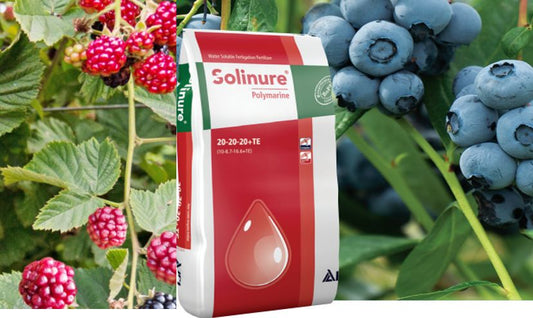 ソリニュア・ポリマリン  25kg