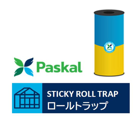 ロールトラップ・イエロー/ブルー30㎝x100m 6巻