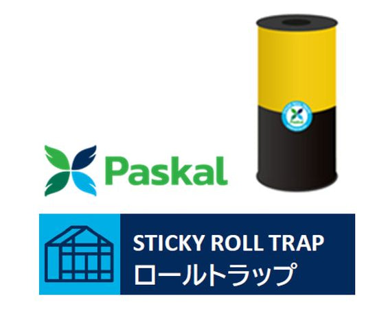 ロールトラップ・イエロー/ブラック30㎝x100m 6巻