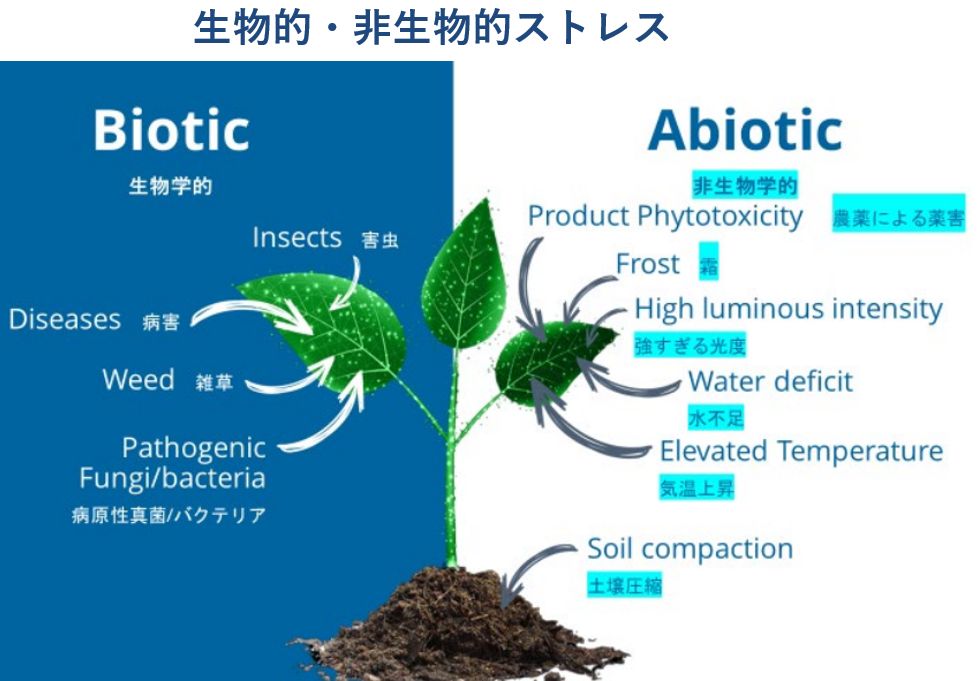 【バイオスティミュラント】BIOZムーンストーン5L