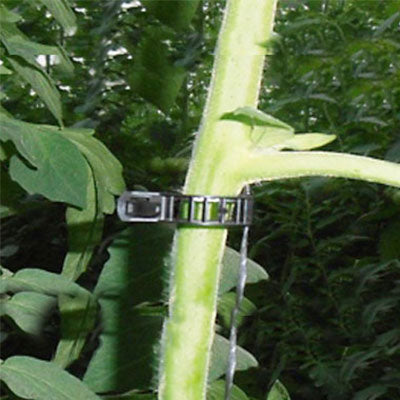 【ケース不良品】トマトクリップ (黒) 23mm(10.000ヶ入)