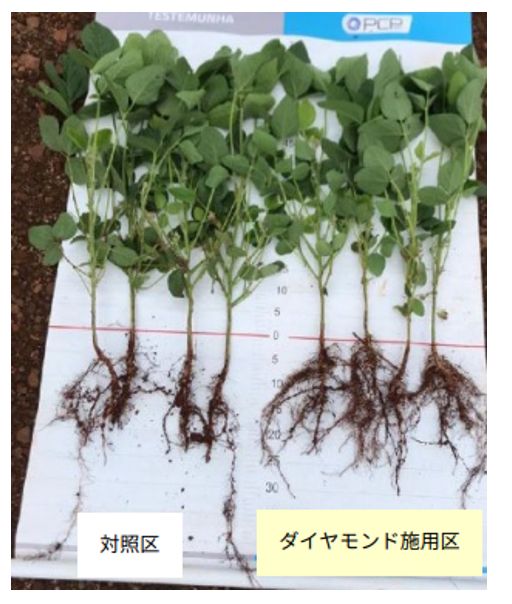 【バイオスティミュラント】BIOZダイヤモンド5L x4本